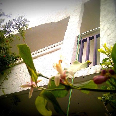 Thalassa Studios Faliraki Bagian luar foto