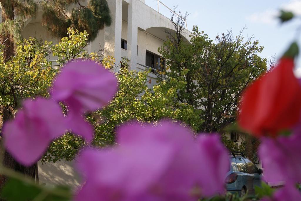 Thalassa Studios Faliraki Bagian luar foto