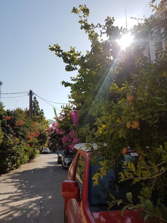 Thalassa Studios Faliraki Bagian luar foto