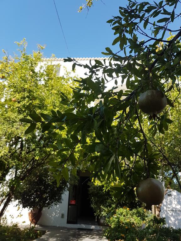 Thalassa Studios Faliraki Bagian luar foto