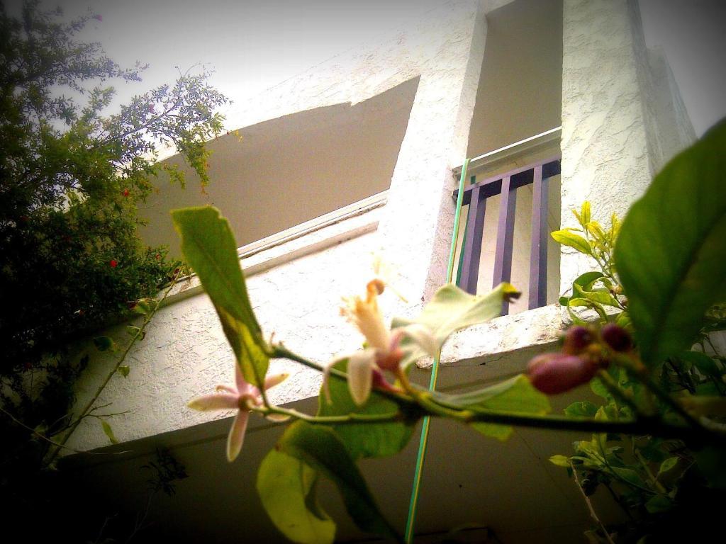Thalassa Studios Faliraki Bagian luar foto