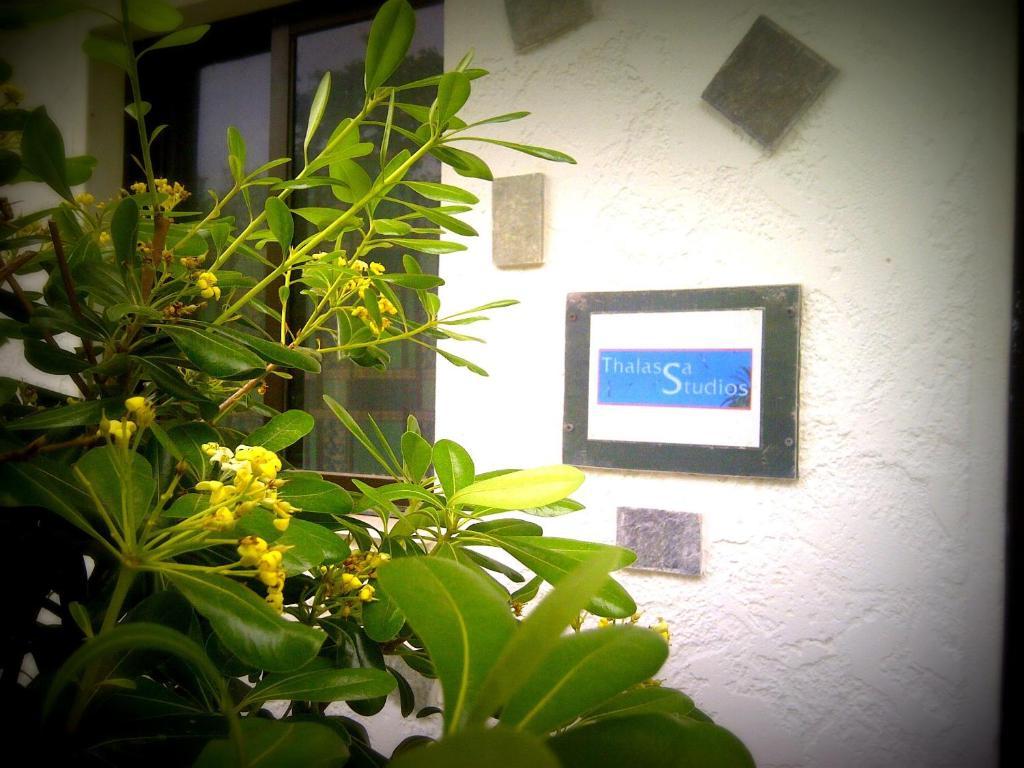 Thalassa Studios Faliraki Bagian luar foto