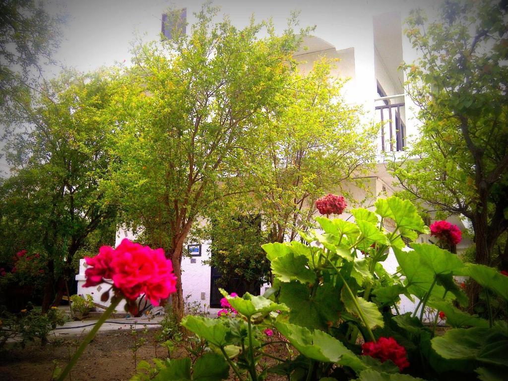 Thalassa Studios Faliraki Bagian luar foto